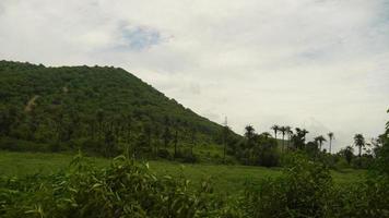 photo d'herbe verte avec des montagnes