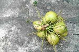 grappe de noix de coco sur le sol en ciment, thaïlande photo