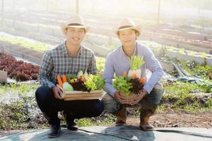 beau portrait jeune deux hommes récoltent et ramassent le potager biologique frais dans le panier de la ferme hydroponique, l'agriculture pour une alimentation saine et le concept d'entrepreneur d'entreprise. photo