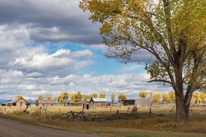 Jackson, Wyoming, USA - 1er octobre. Vue de Mormon Row près de Jackson Wyoming le 1er octobre 2013 photo