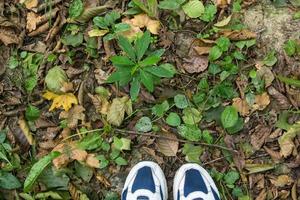 pieds féminins en chaussures de sport bleues sur le sol avec de l'herbe photo