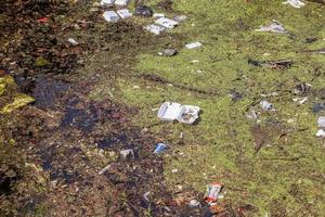 pollution de l'environnement trouvée dans un lac où les gens ont déversé leurs déchets. photo