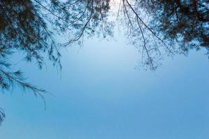 ciel bleu naturel et nuage avec arrière-plan encadré d'arbres, personne, espace de copie. photo