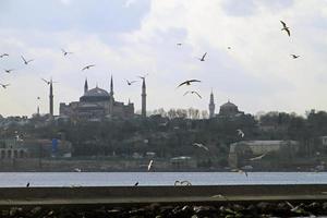 les mouettes remplissent le ciel près du fleuve bosphore à istanbul, en turquie, avec une mosquée en arrière-plan. photo