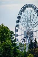 paysage d'un parc d'attractions avec le haut d'une grande roue montrant au-dessus de la cime des arbres contre un ciel bleu. photo