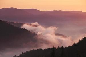 montagnes des Appalaches matin brumeux