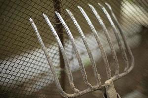 outils de jardin. le râteau en acier est appuyé contre une clôture en treillis. photo