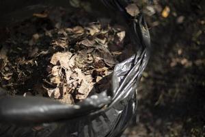 feuilles en sachet. feuilles sèches dans un sac noir. photo