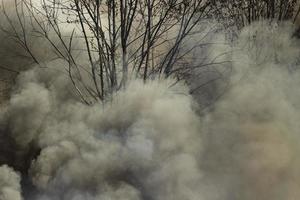 feu dans la rue. fumée et feu. la décharge brûle. dangers environnementaux. photo