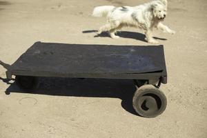 ancien chariot pour le transport de marchandises. photo