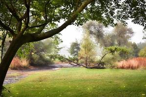 paysage brumeux du matin d'automne photo