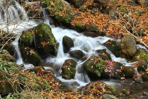 rivière à yedigoller photo