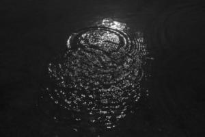 cercles sur l'eau. éclaboussures dans le lac. surface de l'eau. photo