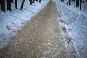 la route en hiver dans le parc est saupoudrée de sable. route vide dans les bois. photo