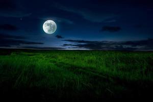 paysage du soir dans le pré au clair de lune photo