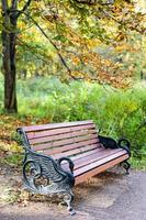 vieux banc en bois sous le marronnier photo