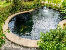 carpes de poissons koi nageant dans un étang de jardin photo