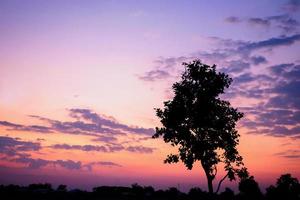 heure du coucher du soleil avec arbre silhouette et nuages dans le ciel photo