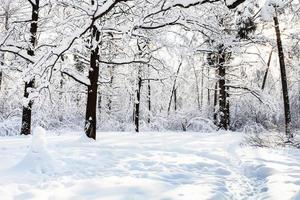 bonhomme de neige sur la clairière enneigée dans la chênaie en forêt photo