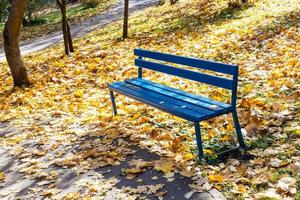 banc en bois bleu vide à la pelouse du parc de la ville photo