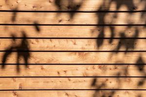 fond en bois et texturé avec ombre de feuilles photo