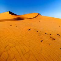 dunes de sable dans le désert du sahara photo