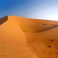 dunes de sable dans le désert du sahara photo