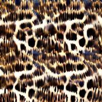 motif de fourrure de léopard. conception africaine. motif textile de mode photo