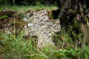 très ancienne pierre tombale unique en grès rouge envahie par l'herbe et les mauvaises herbes photo