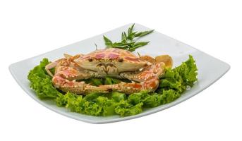 crabe bouilli sur la plaque et fond blanc photo