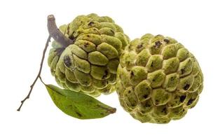 Fruit de noni sur fond blanc photo