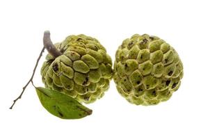 Fruit de noni sur fond blanc photo