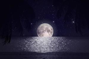 paysage marin et palmier la nuit à la pleine lune dans le ciel la lune source originale de la nasa photo
