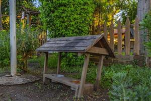 maison de chat en bois dans le jardin photo