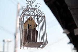 maison modèle piégée dans une cage à oiseaux le concept de construction d'une maison est entravé. photo