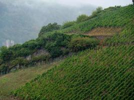 le rhin près de bingen photo