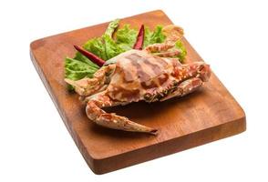 Crabe rouge sur planche de bois et fond blanc photo