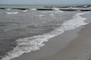 l'île de zingst sur la mer baltique photo