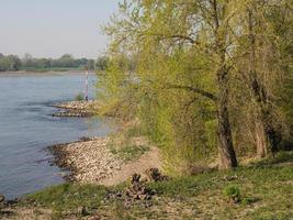 le rhin en allemagne photo