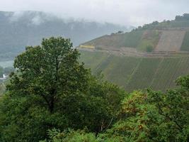 le rhin près de bingen photo