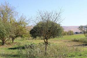 paysage dans les montagnes du nord d'israël. photo