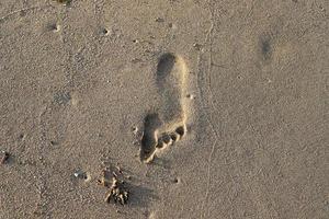 empreintes de pas dans le sable sur les rives de la mer méditerranée. photo