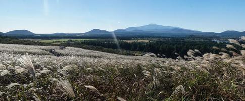 le paysage d'automne de la montagne gumburi sur l'île de jeju, en corée photo