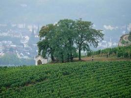 ruedesheim au bord du rhin photo