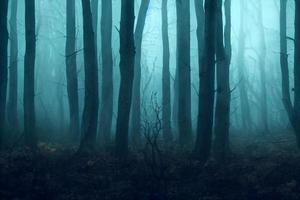 paysage de fond sombre de forêt brumeuse hantée, concept effrayant et effrayant, rendu 3d photo