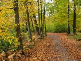 temps d'automne en westphalie photo