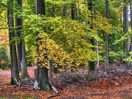 temps d'automne en westphalie photo