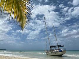 la mer des Caraïbes photo