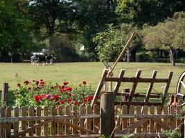 le petit village burlo en westphalie photo