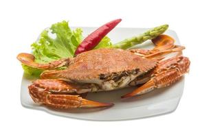 crabe bouilli sur la plaque et fond blanc photo